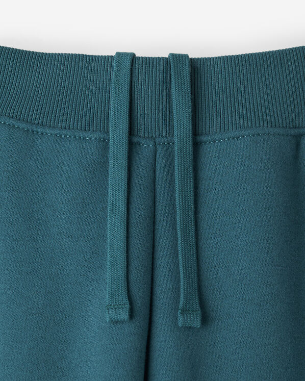 Roots Cloud Barrel Sweatpant — photo 6