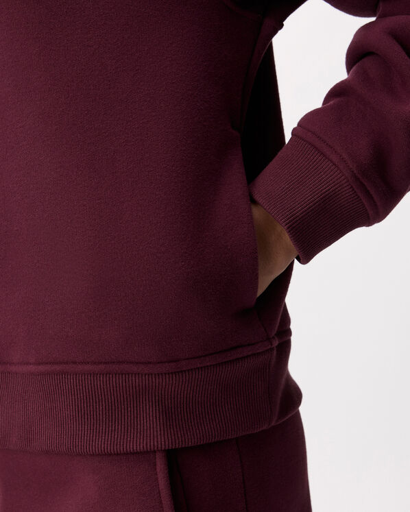 Roots Cloud Raglan Hoodie — photo 5