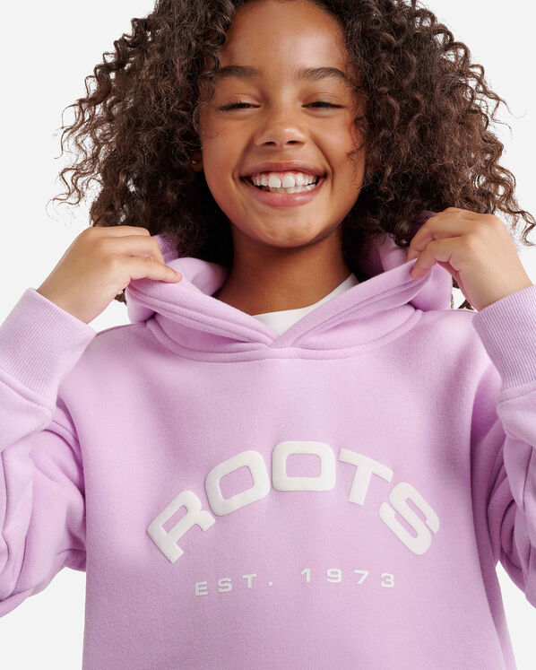 Roots Kids Alpine Goods Kanga Hoodie — photo 3