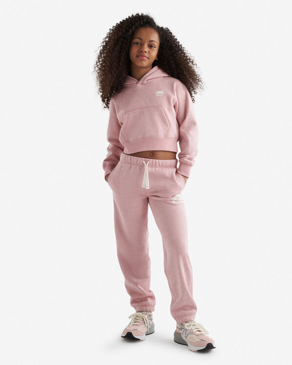 Roots Girls Cooper Sparkle Cropped Hoodie — photo 2