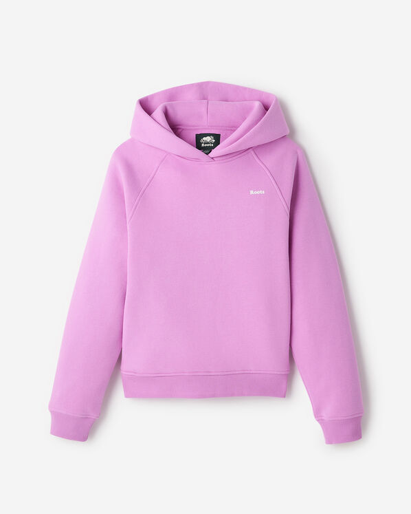 Roots Cloud Raglan Hoodie — photo 1