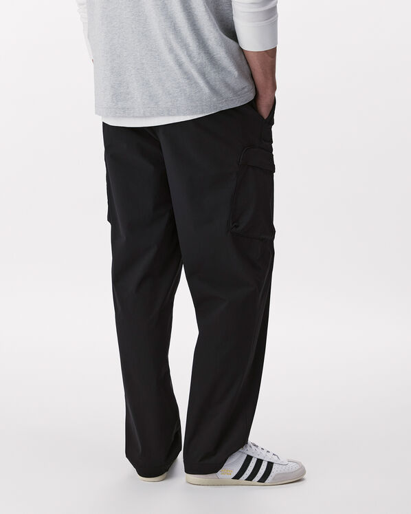 Roots Horizon Nylon Pant — photo 4