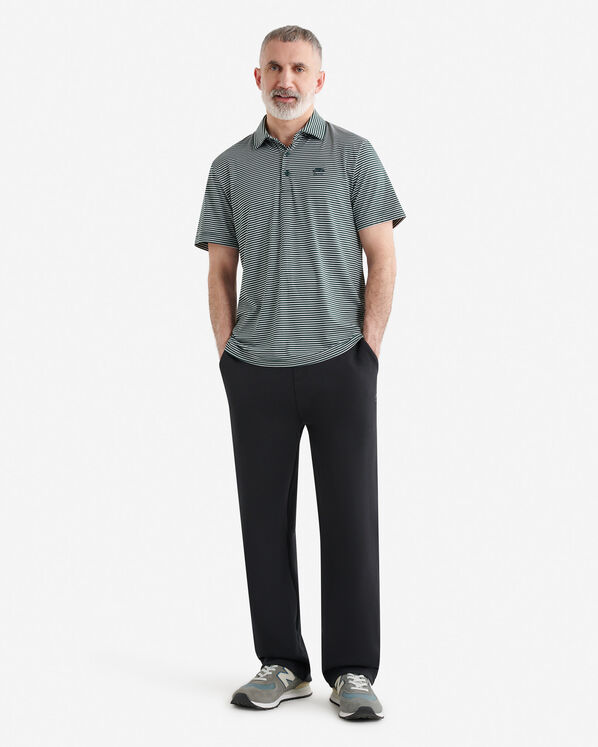 Roots Renew Knit Striped Polo — photo 2