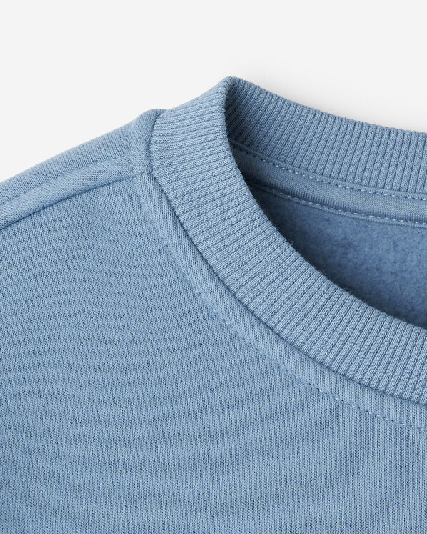 Roots Kids Cloud Crew Sweatshirt — photo 4