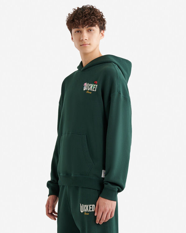 Roots Roots X Wicked OZ Hoodie — photo 3
