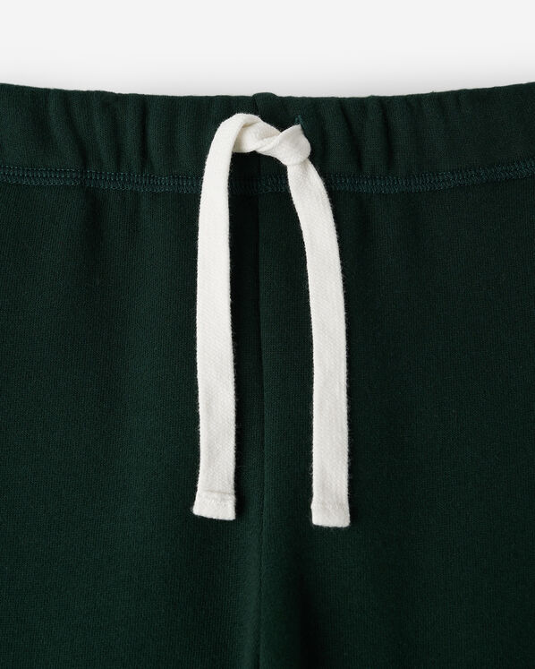 Roots Kids Roots X Wicked Sweatpant — photo 6