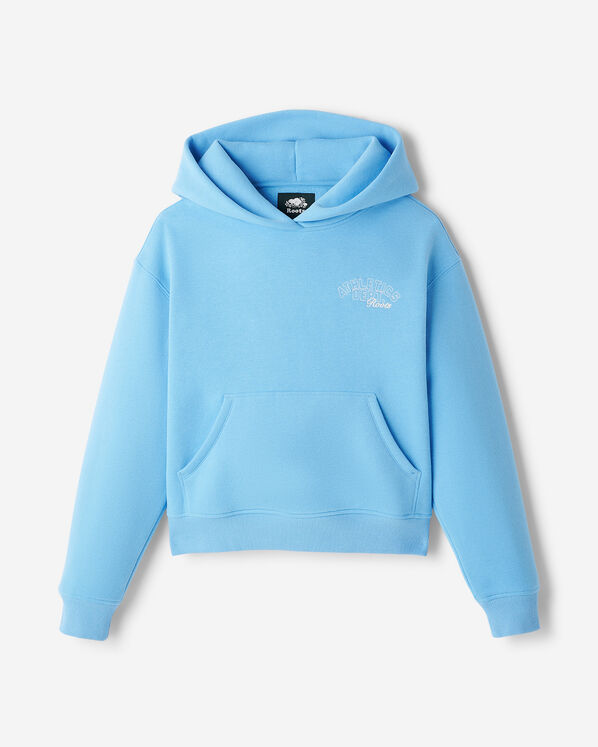 Roots Athletics Department Hoodie — photo 1