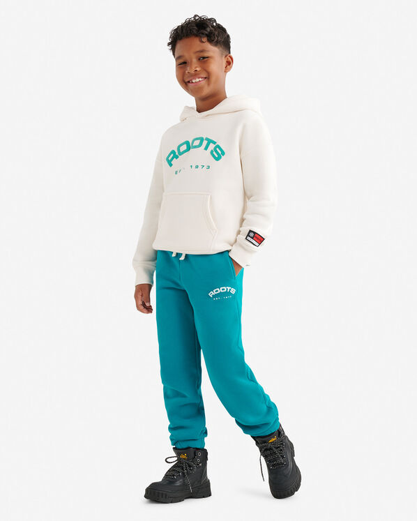 Roots Kids Alpine Goods Kanga Hoodie — photo 2