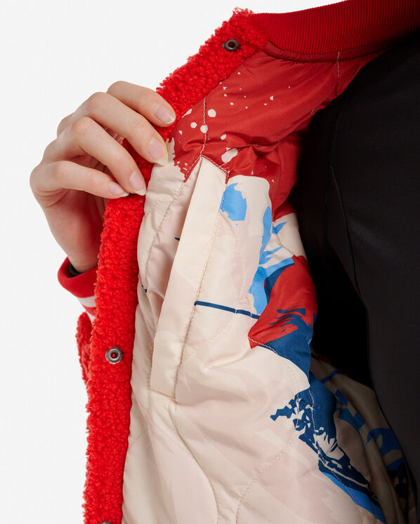 Roots Alpine Goods Varsity Jacket — photo 5