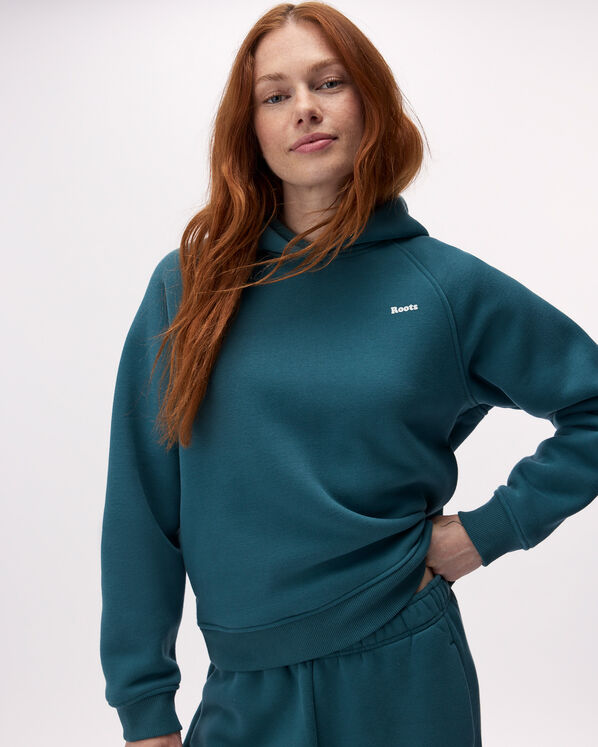 Roots Cloud Raglan Hoodie — photo 1