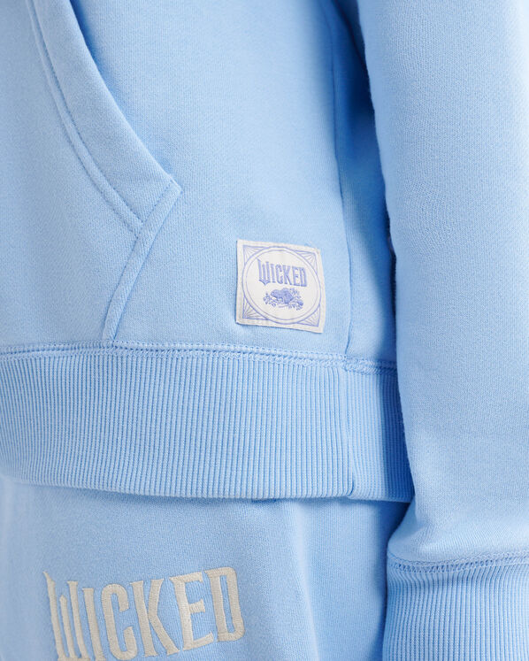 Roots Roots X Wicked OZ Hoodie — photo 7