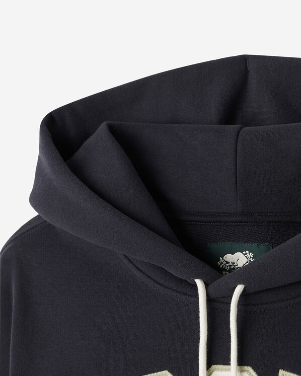 Roots Roots Arch Hoodie — photo 4
