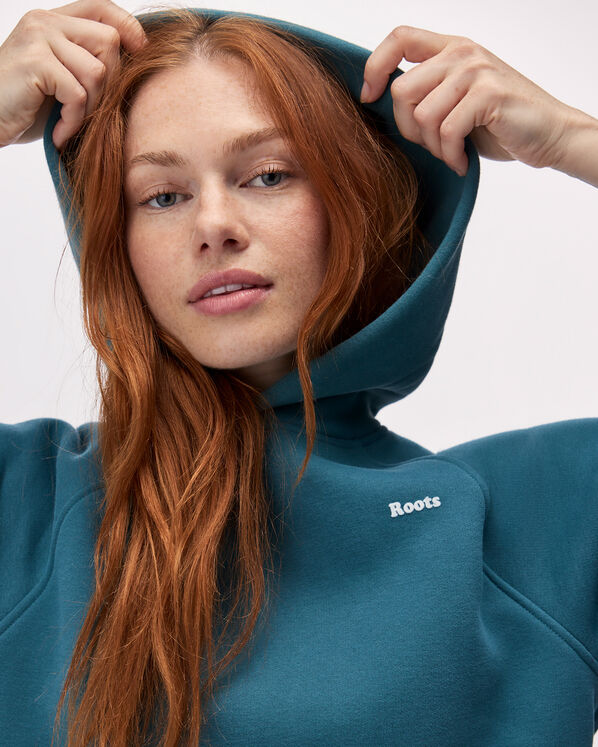 Roots Cloud Raglan Hoodie — photo 5