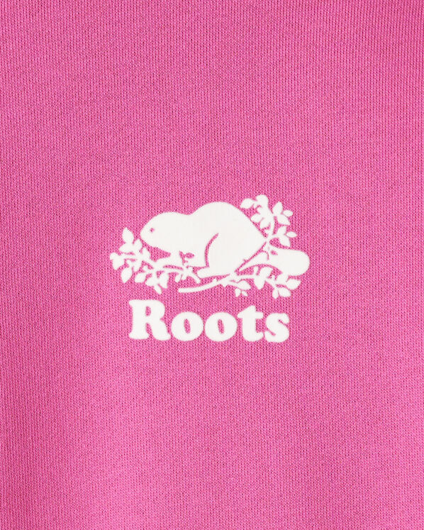 Roots Organic Cooper Relaxed Quarter Zip Stein — photo 3