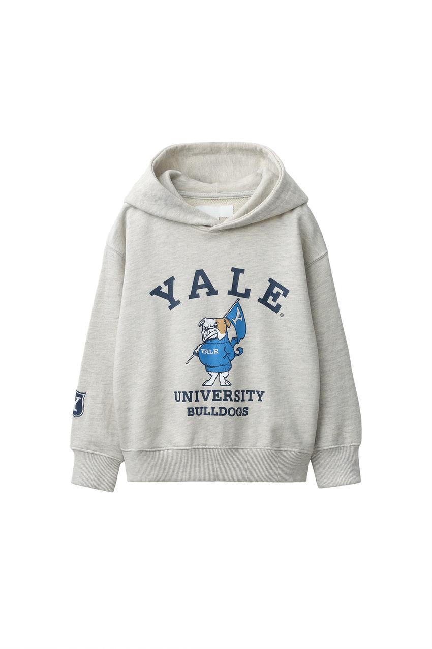 ZARA YALE™ PRINT HOODIE — photo 3