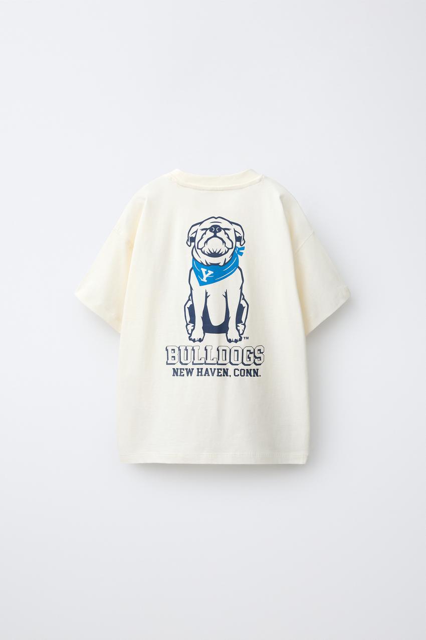 ZARA YALE UNIVERSITY™ PRINT T-SHIRT — photo 2